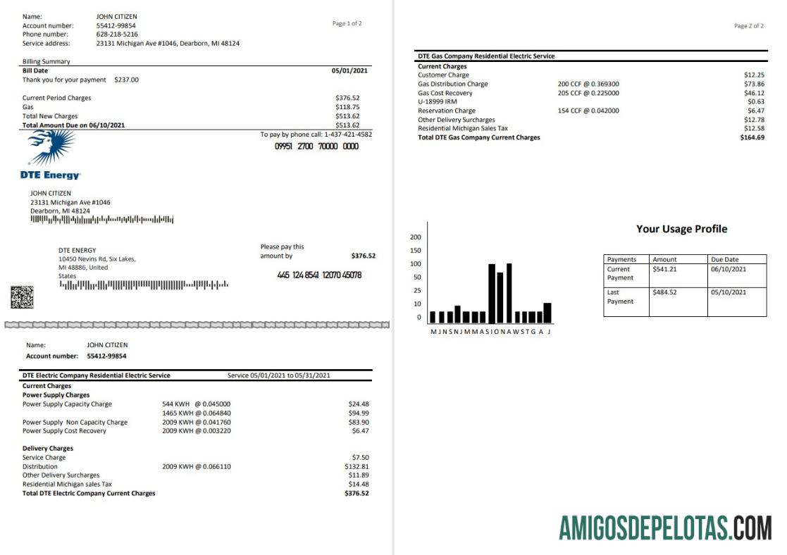 imprimível Modelo de fatura de serviços públicos de energia DTE dos EUA em formato Word e PDF (2 páginas)